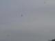 Parapente