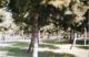 Parque y su Flora