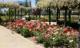 Parque y su flora