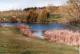 Lago y su flora