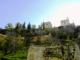 Alcazaba