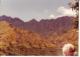 Tenerife