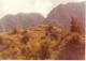 Tenerife