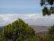 Ruta al Teide