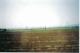 Campos