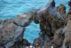 LA PALMA 1 (160 Fotos)